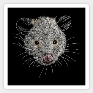 Opossum Sticker